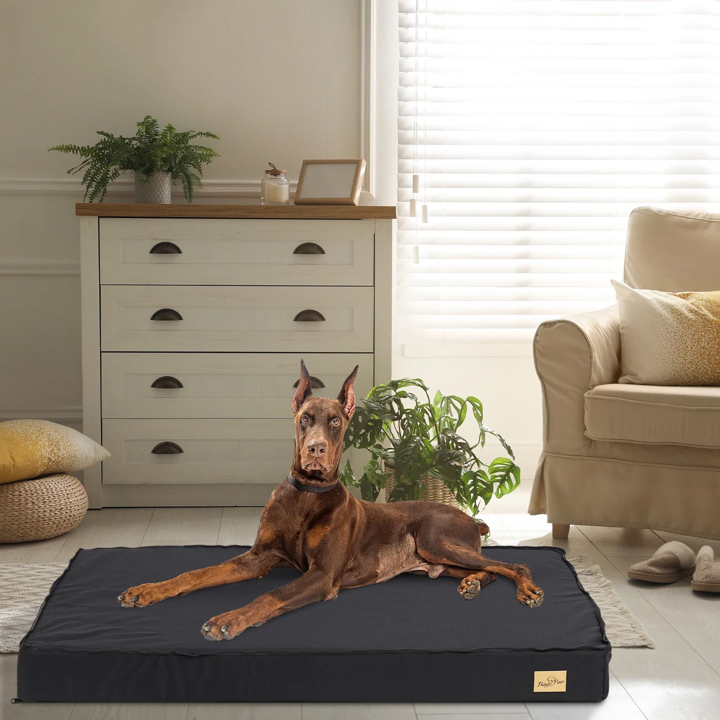 Washable Dog Beds for Large Dogs Comfortable Orthopedic Dog Bed Sponge Foam Pet Bedding