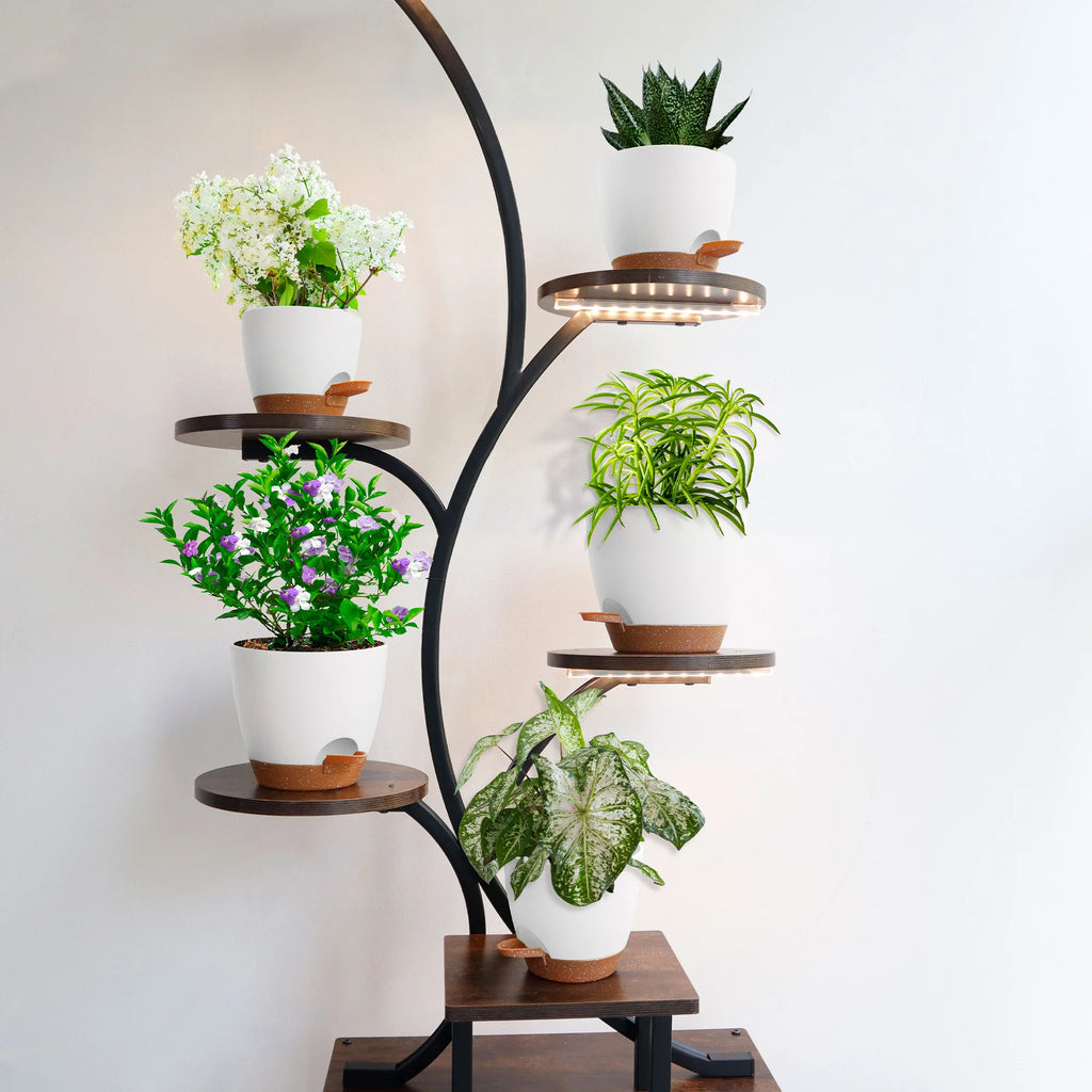 5 Piece Self Watering Planters Set with Drainage Holes and Saucers for Indoor Nursery Planting Pots 5 to 7 Inches