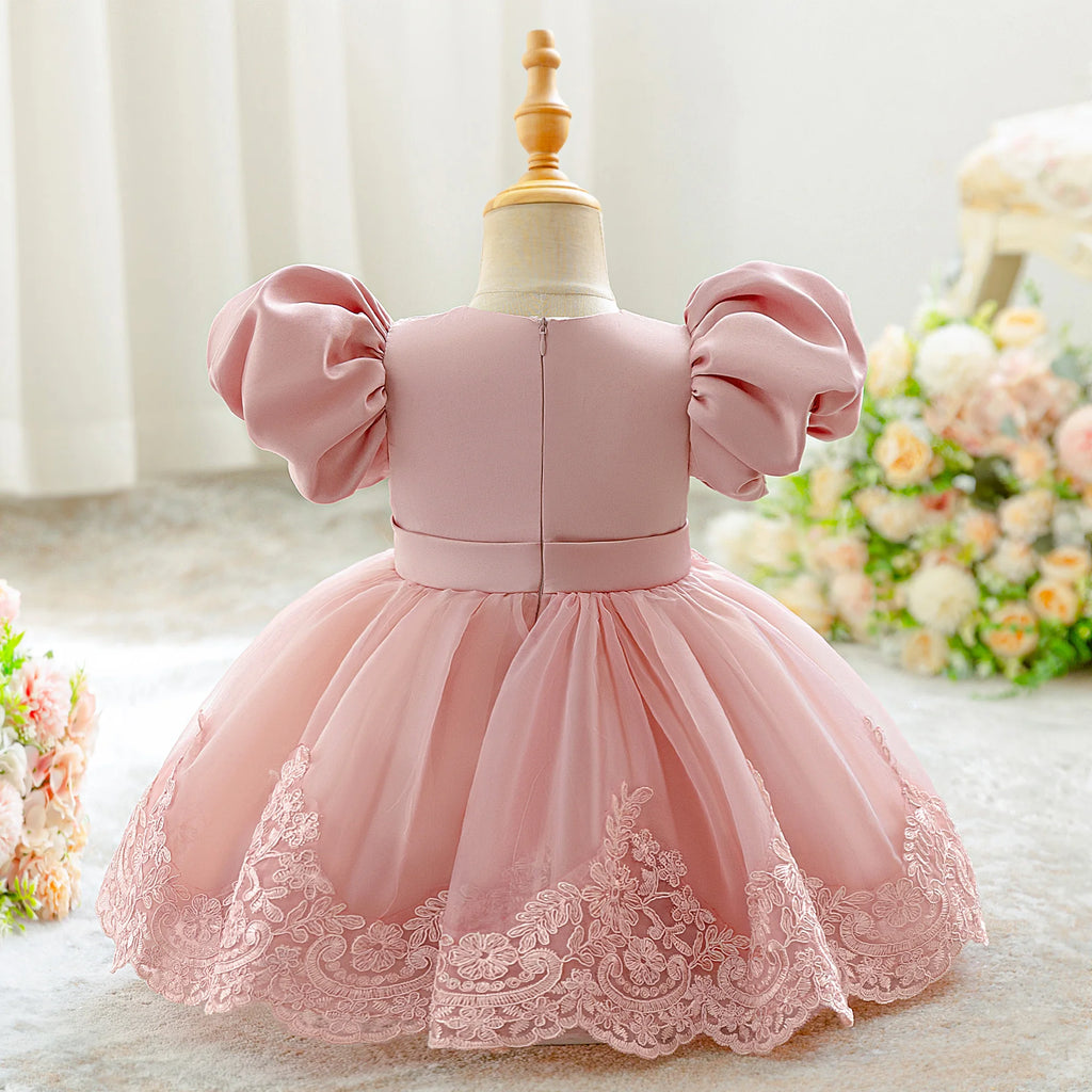 PLBBFZCN Infant Embroidery Flower Party Dress Baby Girls