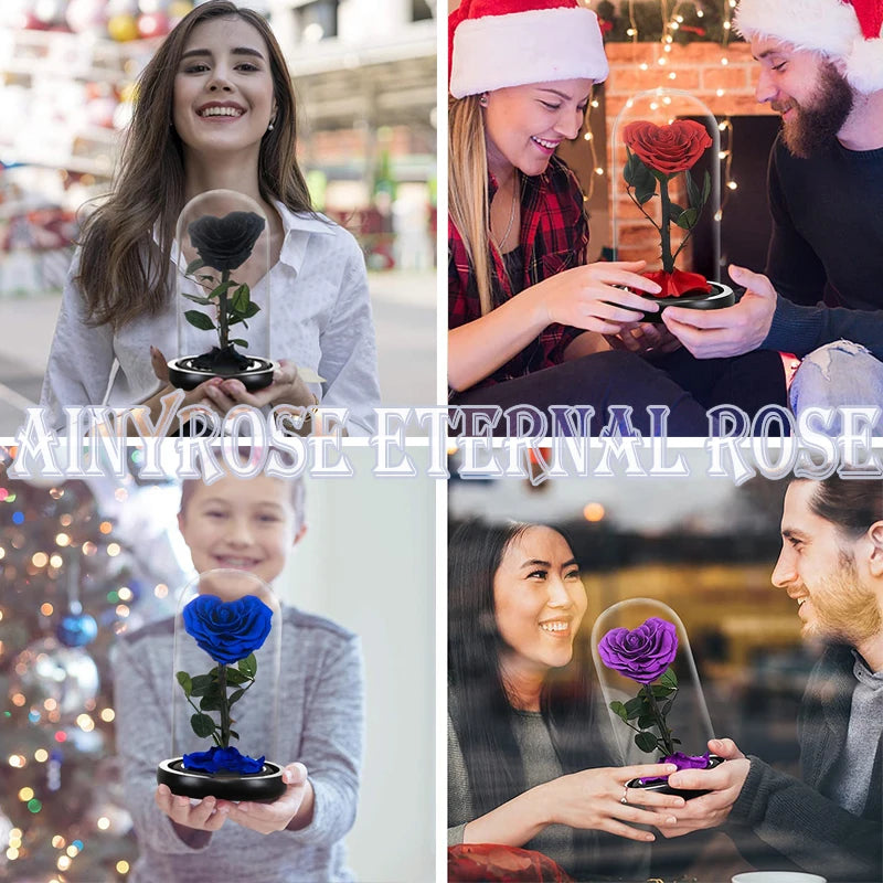 Heart Shaped Preserved Rose Beauty and The Beast Eternal Rose In Glass Dome Wedding Forever Flowers Valentines Christmas Gifts
