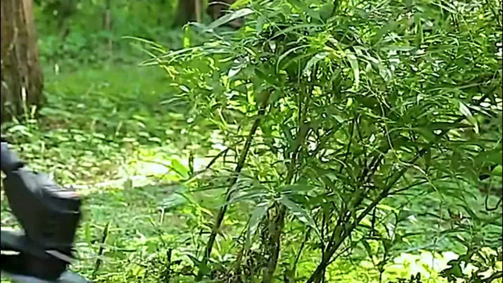 Weeder Trimmer Portable Foldable Electric Lawn Mower 21V With 2 Lithium Batteries 4 Blades Cordless Handheld Garden Multi Function Weeder